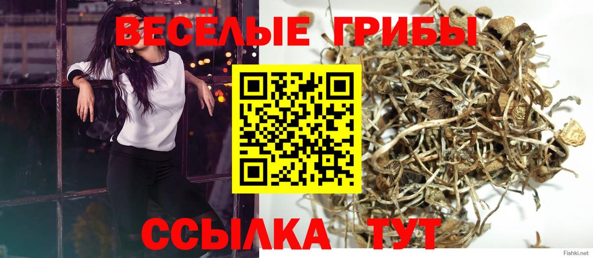 Галлюциногенные грибы GOLDEN TEACHER  Вход с VPN  Нижнеудинск 